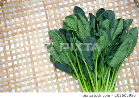 Fresh spinach in bamboo weaves plate Fresh spinach in bamboo weaves plate 102603986