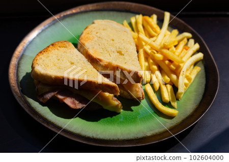 Sandwich and french fries in plate Sandwich and french fries in plate 102604000