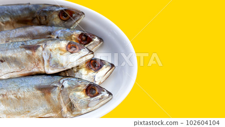 Salted fish on yellow background. Salted fish on yellow background. 102604104