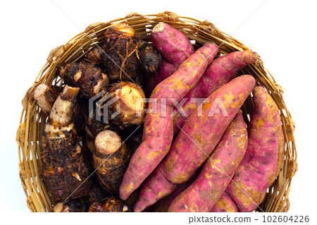 Sweet potato with taro in bamboo basket on white background. Sweet potato with taro in bamboo basket on white background. 102604226