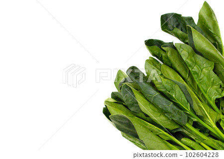 Fresh spinach on white background Fresh spinach on white background 102604228