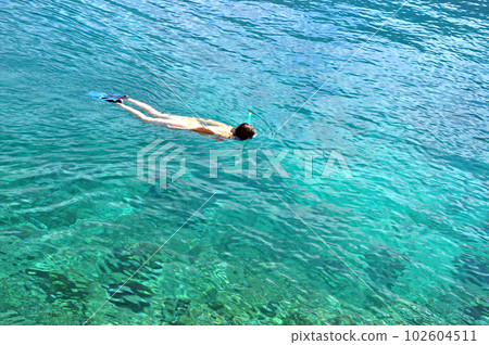 Snorkeling Snorkeling 102604511