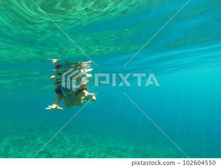 Underwater view of a woman snorkeling in the tropical sea 102604550