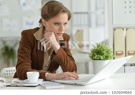 Portrait of young businesswoman 102604660