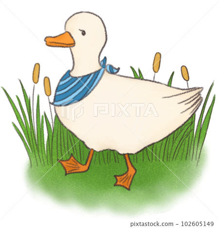 Duck Duck 102605149