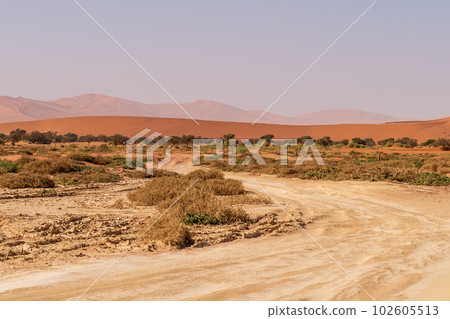 Desert landscape near Sossusvlei Desert landscape near Sossusvlei 102605513