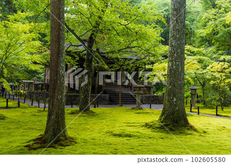 Ojo Gokuraku-in Temple, Sanzen-in Temple, lush with greenery in summer in Ohara, Kyoto 102605580