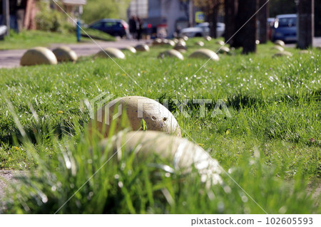 parking 001 102605593