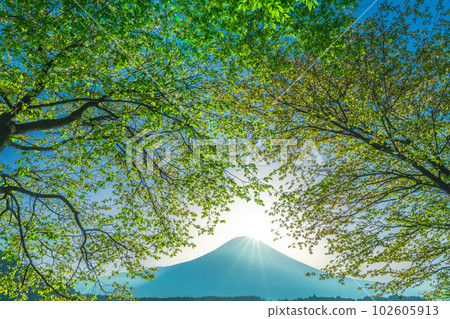 令人眼花繚亂的新綠和鑽石富士 102605913