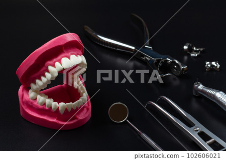 Layout of a human jaw with the clamps, the rubber dam forcep and the dental hole punch Layout of a human jaw with the clamps, the rubber dam forcep and the dental hole punch 102606021
