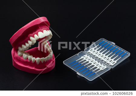 Human jaw layout and interdental toothpick brushes. 102606026