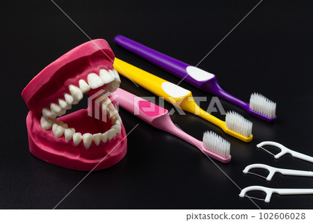 Human jaw layout, toothbrushes and flossing toothpicks. 102606028