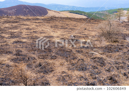 [災難圖像] Kirigamine Highlands [長野縣]的野火遺跡 102606849