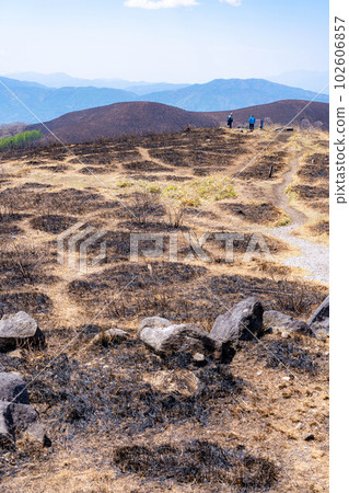 [Disaster image] Remains of wildfire in Kirigamine Highlands [Nagano Prefecture] 102606857