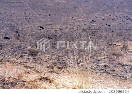 [災難圖像] Kirigamine Highlands [長野縣]的野火遺跡 102606864