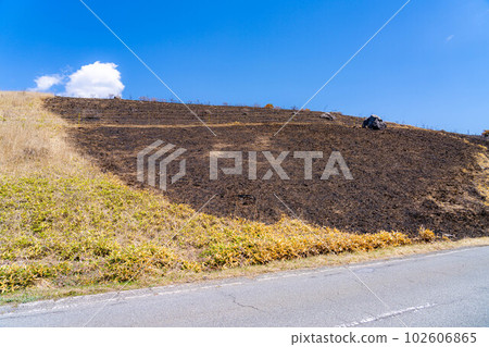 [災難圖像] Kirigamine Highlands [長野縣]的野火遺跡 102606865