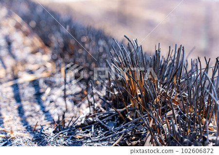 [Disaster image] Remains of wildfire in Kirigamine Highlands [Nagano Prefecture] 102606872