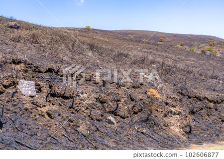 [災難圖像] Kirigamine Highlands [長野縣]的野火遺跡 102606877