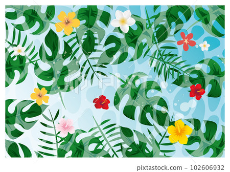 Summer tropical image background 102606932