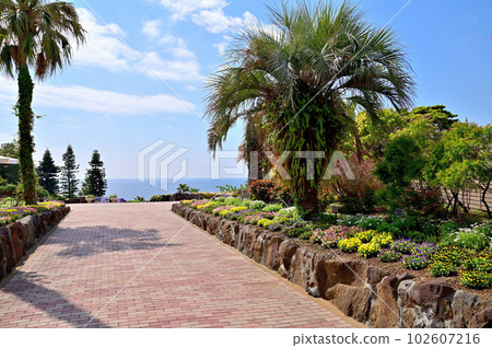 Izu Marine Park Flower Garden 102607216