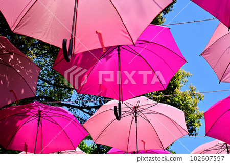 Umbrella sky Umbrella sky 102607597