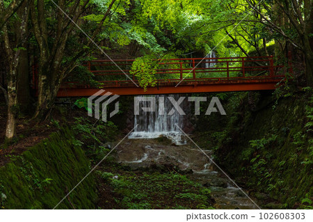 Summer in Ohara, Kyoto Sanzen-in Temple with lush greenery Ritsukawa 102608303