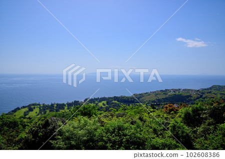 Izu Komuroyama Azalea Garden Izu Komuroyama Azalea Garden 102608386