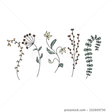 Hand drawn wild flowers illustrations set isolated on white background. Minimalist floral doodles 102609730