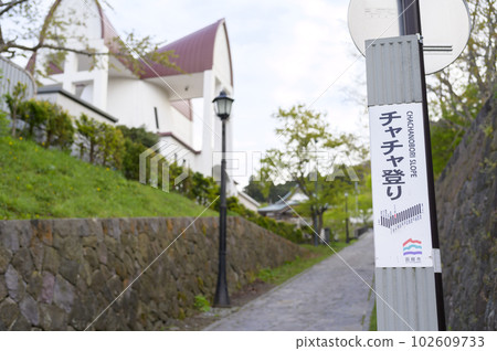 Golden Week Hakodate Chacha climbing 102609733