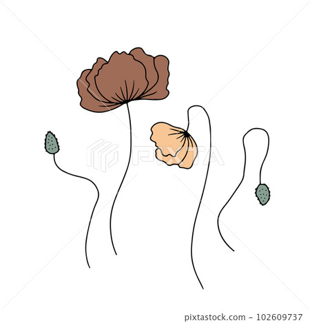 Hand drawn poppy flowers illustrations set isolated on white background Hand drawn poppy flowers illustrations set isolated on white background 102609737