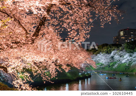 春天的“東京”千鳥淵,櫻花盛開的夜景 春天的“東京”千鳥淵,櫻花盛開的夜景 102610445
