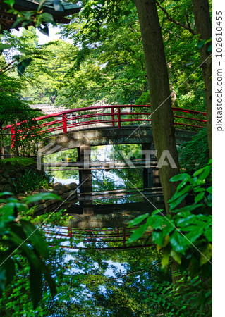 擁有井之頭辨財天美麗清新綠色風景的Haru Inokashira Onshi Park 擁有井之頭辨財天美麗清新綠色風景的Haru Inokashira Onshi Park 102610455