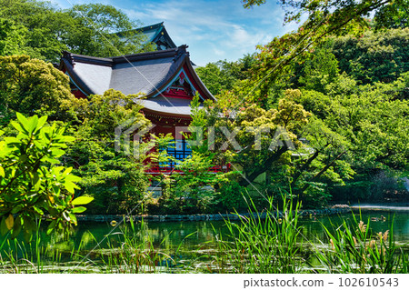 擁有井之頭辨財天美麗清新綠色風景的Haru Inokashira Onshi Park 102610543