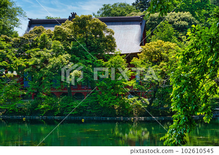Haru Inokashira Onshi Park with beautiful fresh green scenery of Inokashira Benzaiten Haru Inokashira Onshi Park with beautiful fresh green scenery of Inokashira Benzaiten 102610545
