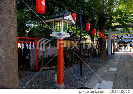 Lanterns at Tanashi Shrine [Japanese image] 102610637