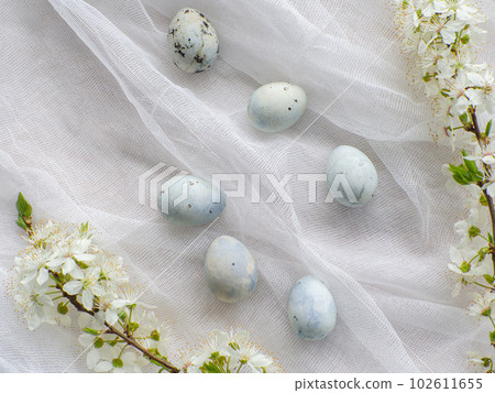 Blue painted easter eggs on white background 102611655