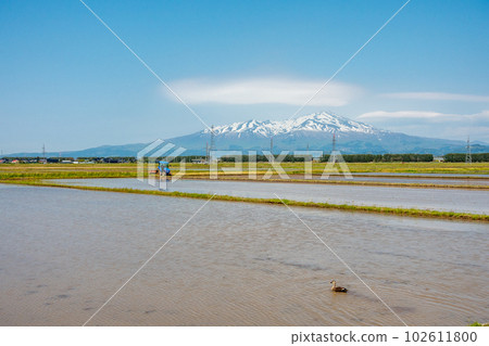 Mt. Chokai and rural scenery Spring Mt. Chokai and rural scenery Spring 102611800