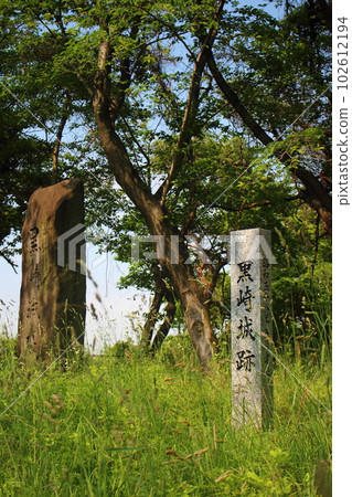 Kitakyushu City Monument of Kurosaki Castle built by Nagamasa Kuroda (vertical position) 102612194