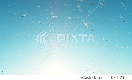 Beautiful Abstract flying Dandelion seeds Beautiful Abstract flying Dandelion seeds 102612334