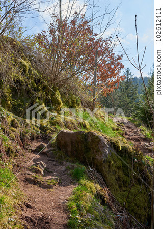 Mountain landscape in the Alps. Panoramic view of beautiful mountain landscape in the Bad Rippoldsau-Schapbach in the Black Forest, area near Burgbach Wasserfall, Baden-Wurttemberg, southern Germany. Mountain landscape in the Alps. Panoramic view of beautiful mountain landscape in the Bad Rippoldsau-Schapbach in the Black Forest, area near Burgbach Wasserfall, Baden-Wurttemberg, southern Germany. 102612411
