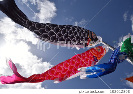 Carp streamer 102612808