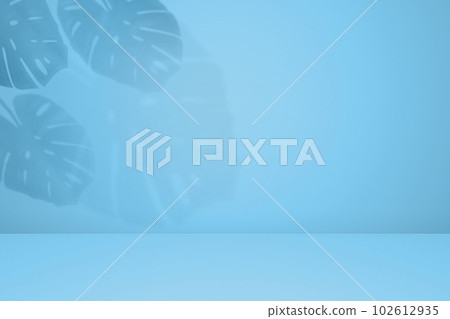 Empty monstera shadow advertising background. Aesthetic monstera shadow on blue wall 102612935