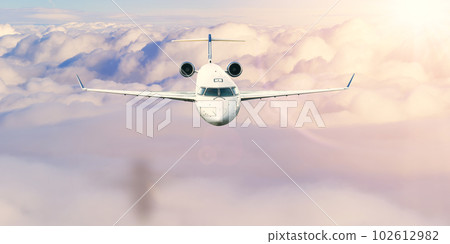 aircraft on runway preparing for takeoff at the airport. Preparation of the airplane before flight. 102612982