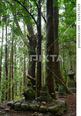 Gyuba Doji Statue（Hashiori Pass）[和歌山縣田邊市中邊町] 102613029