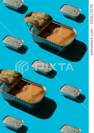 Pattern with salmon in a tin 102613076