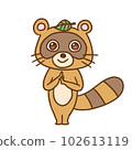 Raccoon  102613119