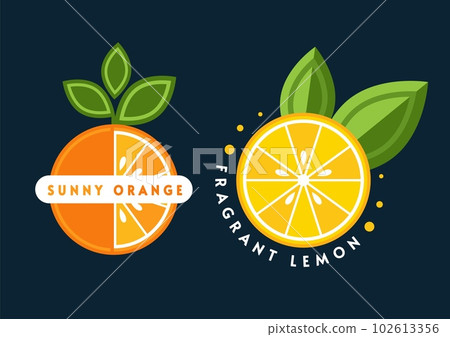 Set of logos with lemon, orange fruits Set of logos with lemon, orange fruits 102613356