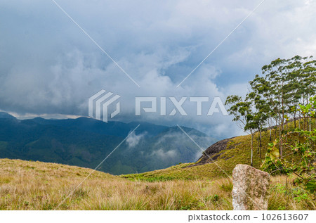 Misty mountains 102613607