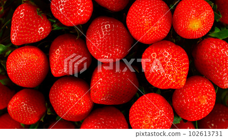 Freeze Motion Shot of Flying Fresh Strawberries, Macro Shot 102613731
