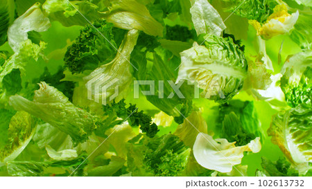 Freeze motion of rotating fresh lettuce flying up in the air 102613732